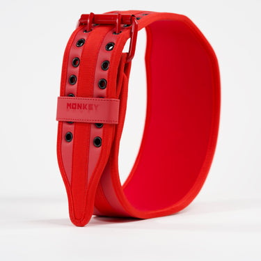NY Power Totally Red Belt