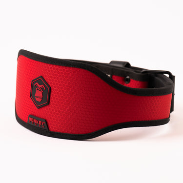 Cinturón NY Power Crimson Phantom